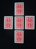 bicycle marked cards small
